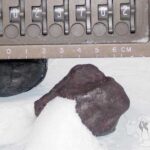 Earth may not have gotten its water the way we thought, controversial meteorite study suggests