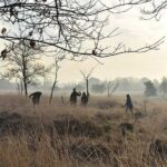 Roman military camp discovered by students in the Netherlands