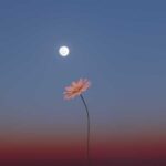May's Full Flower Moon Will Be a Micromoon. Here's How to Watch It Rise