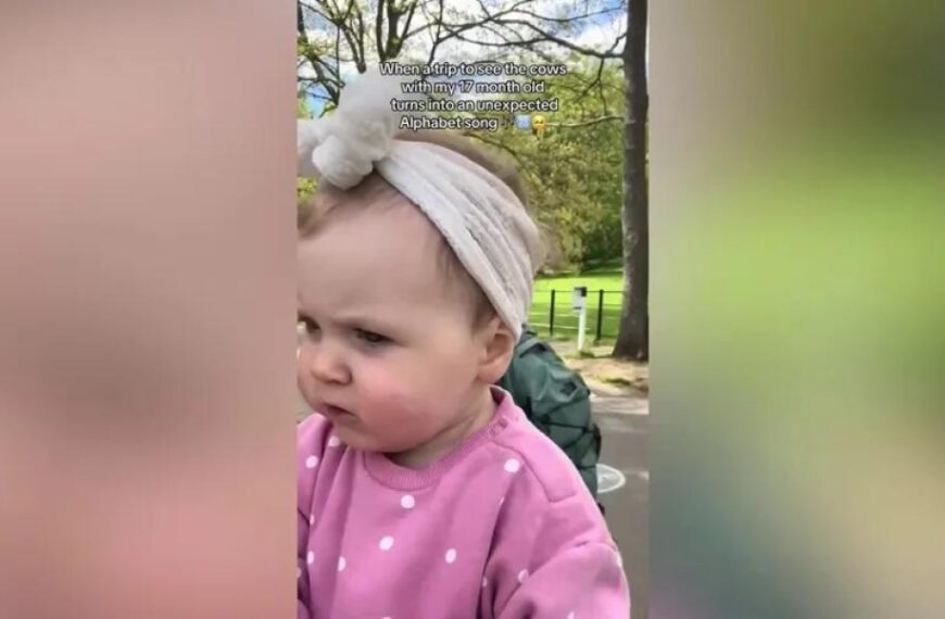 Baby shower invitation reveals 'Hope of Chernobyl' title, sparking online debate