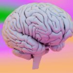 A surprisingly simple 'dial' in the brain can help it distinguish imagination from reality