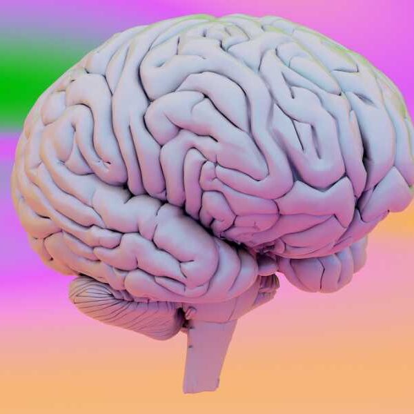 A surprisingly simple 'dial' in the brain can help it distinguish imagination from reality