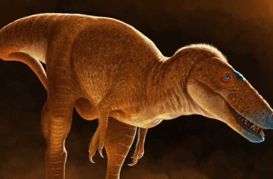 Meet the 'dragon prince' – a newly discovered relative of the Tyrannosaurus that roamed Mongolia 86 million years ago.