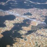 'It's like trying to grow a tree in an oven': Gold mining is drying up the Amazon rainforest