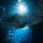 Earth's oceans are a 'ticking time bomb' as acidity levels approach 'danger zone', study finds