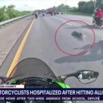 Florida motorcyclists hospitalized after collision with 6-foot alligator on highway