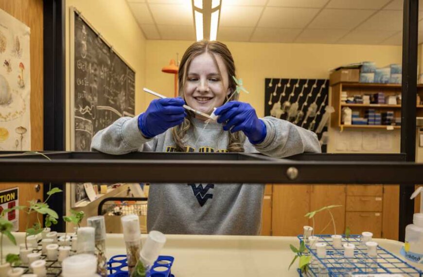 College Student Discovers Psychedelic Fungus That Escaped LSD Inventor