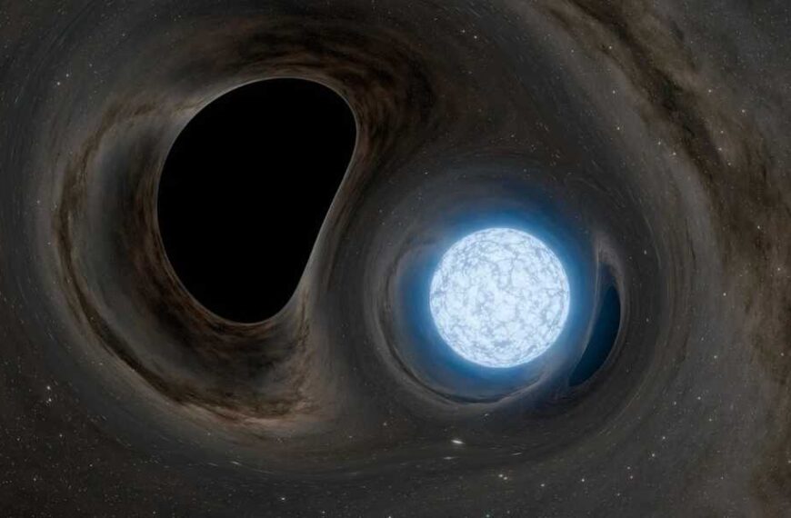 Astronomers Simulate Last Moments of Star Being Devoured by Black Hole: 'Breaks Like an Egg'