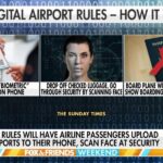Flight passenger defends controversial 'lice on the gate' trend amid travel etiquette debate