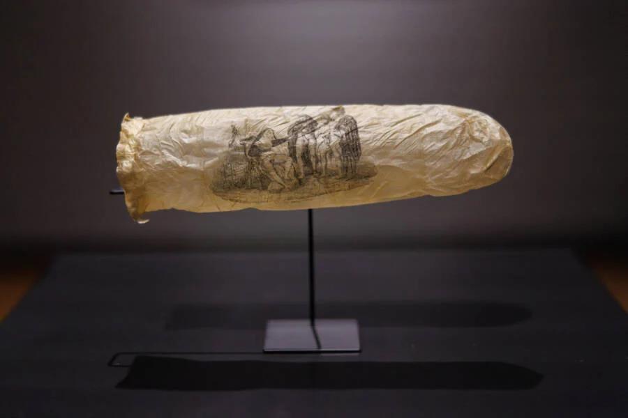 Dutch museum displays 200-year-old condom made from sheep's appendix