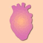 Why is heart cancer so rare?
