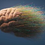 Memories in the brain are not static – they “drift” over time.