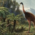 'We're bringing back feathered dinosaurs': De-extinction company claims to bring back giant moa within next 10 years