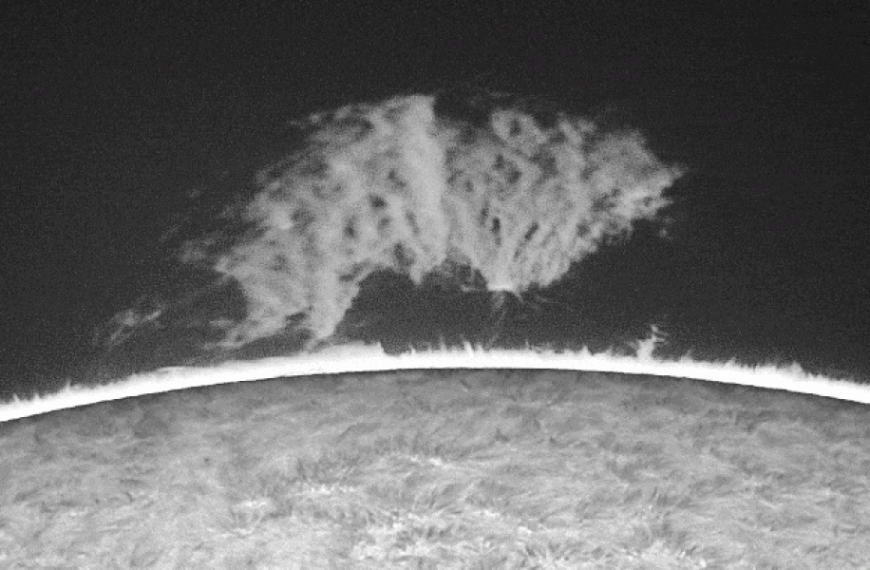 Behold the 'Beast': A giant animal-shaped plasma plume 13 times wider than Earth hangs above the Sun.