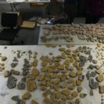 Cruel Roman Emperor Caligula Had Amazing Knowledge of Medicinal Plants, Study Says