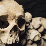 The earliest evidence of people catching diseases from animals dates back 6,500 years.
