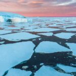 Antarctica's Sea Ice Collapse Linked to Mysterious Ocean Salt Level Jump
