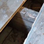 Plumbers lift floorboards and make 'creepy' discoveries