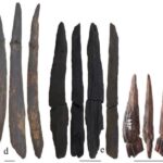 Archaeologists in China find 300,000-year-old wooden tools