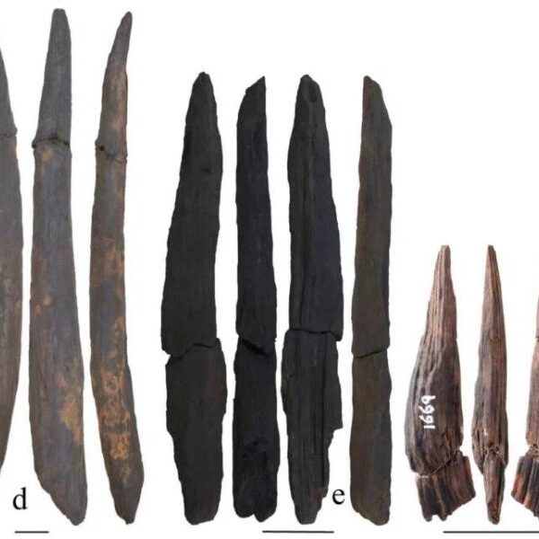 Archaeologists in China find 300,000-year-old wooden tools