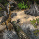Bite marks suggest that the giant terror birds may have been potential prey for another predator – the giant caiman.
