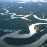 Even a small slowdown in key Atlantic currents poses a 'massive risk' to tropical forests.