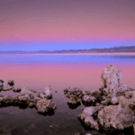 The “Arsenic Life” study, hailed by NASA as a breakthrough in astrobiology, has been retracted by Science due to contamination and inaccurate data.