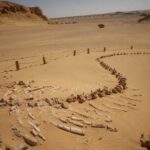 Valley of the Whales: A fossil-rich desert in Egypt that shows the evolution of whales from land to sea creatures.