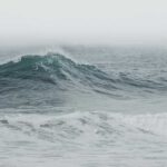 Data from the North Sea shows that “rogue waves” can reach heights of 65 feet, but they are not “anomalous events”.