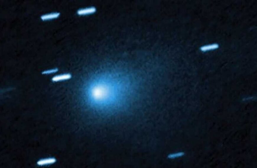 “I'm a NASA scientist and we are convinced that there is life on this planet.”