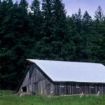 The mysterious earthquake that shook Northern California in 1954 occurred in the…