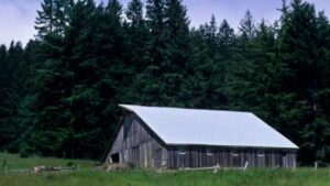 The mysterious earthquake that shook Northern California in 1954 occurred in the…