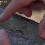 Man Founds Tiny Republic of 400 People in Disputed Territory on Croatia-Serbia Border