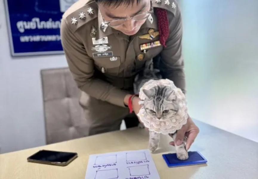 A police officer takes a paw print from Noob Tang