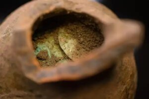 Treasure of 600 Medieval Coins Discovered in Polish Forest