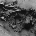 In ancient China, puppies were sacrificed to replace humans with a cheaper alternative.