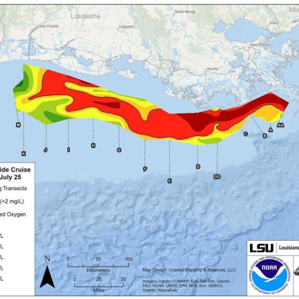 NOAA says Gulf of Mexico dead zone shrinks this year