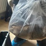A dog-sized rat has been found in a Yorkshire village where monstrous pests are running amok.