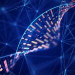 Scientists have discovered strange hidden structures in DNA