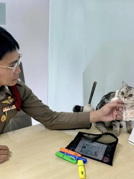 Noob Tang sits on a table being petted by a Thai policeman.