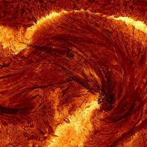 'Famous Moment': Scientists Release Most Detailed Photo of Solar Flare Ever Taken