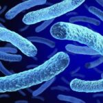 2 dead, 58 infected in New York bacterial outbreak
