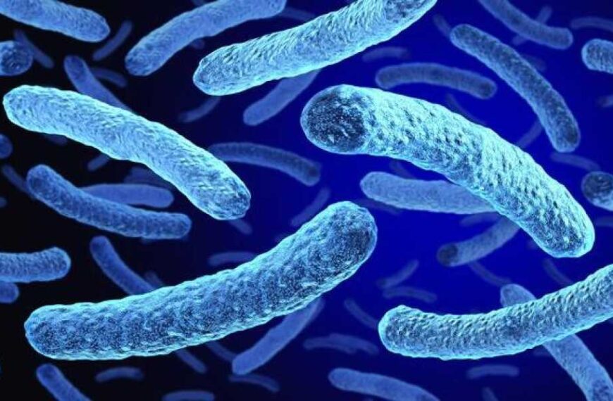 2 dead, 58 infected in New York bacterial outbreak