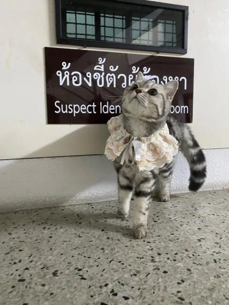 Noob Tan, wearing a pink harness, stands in front of a black sign with Thai writing and an English translation that it partially covers. It appears to say 
