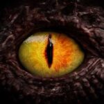 Diagnostic Dilemma: Rare Disease Causes Woman to See People as Dragons