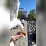 American Guy Complains About His French Girlfriend's Cooking Habits