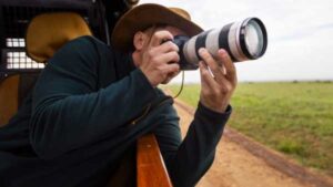 5 Common Mistakes Beginner Wildlife Photographers Make and How to Avoid Them