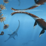 The 'most remarkable' Jurassic sea monster fossil from Germany belongs to a previously unknown species.