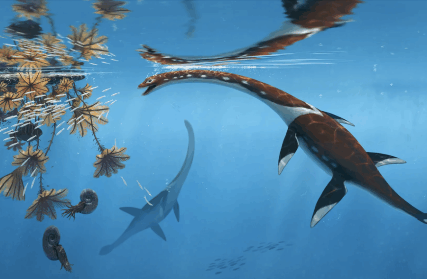 The 'most remarkable' Jurassic sea monster fossil from Germany belongs to a previously unknown species.