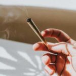 Does cannabis increase the risk of cancer?